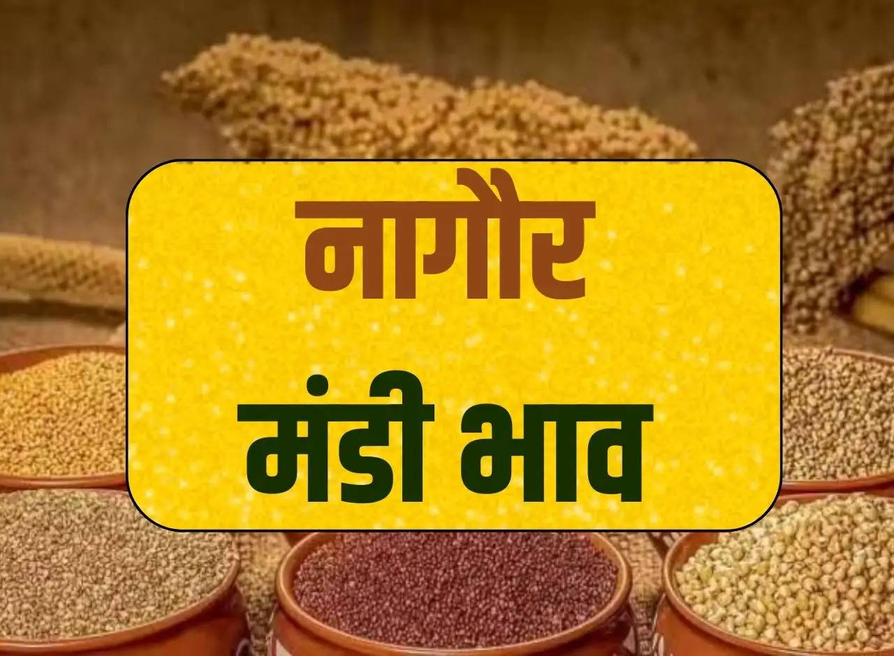 Nagaur Mandi bhav 23 December 2023: Prices of all crops including fenugreek, cumin, moth, jowar, fennel, sesame.