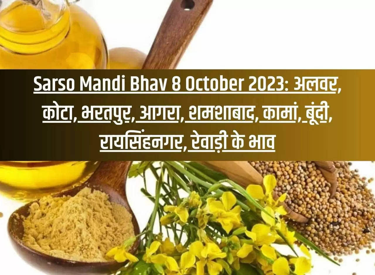 Sarso Mandi Bhav 8 October 2023: Prices of Alwar, Kota, Bharatpur, Agra, Shamshabad, Kaman, Bundi, Raisinghnagar, Rewari