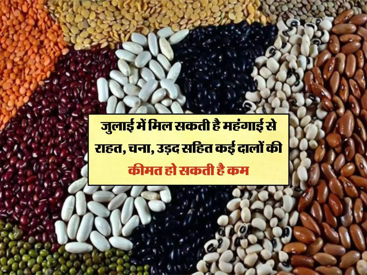 Pulses Rate : जुलाई में मिल सकती है महंगाई से राहत, चना, उड़द सहित कई दालों की कीमत हो सकती है कम