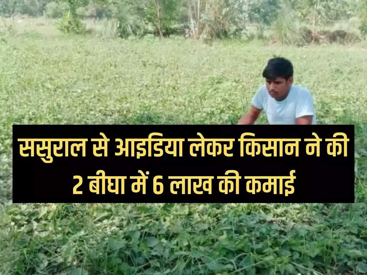 Farmer earned Rs 6 lakh from 2 bigha by taking idea from in-laws