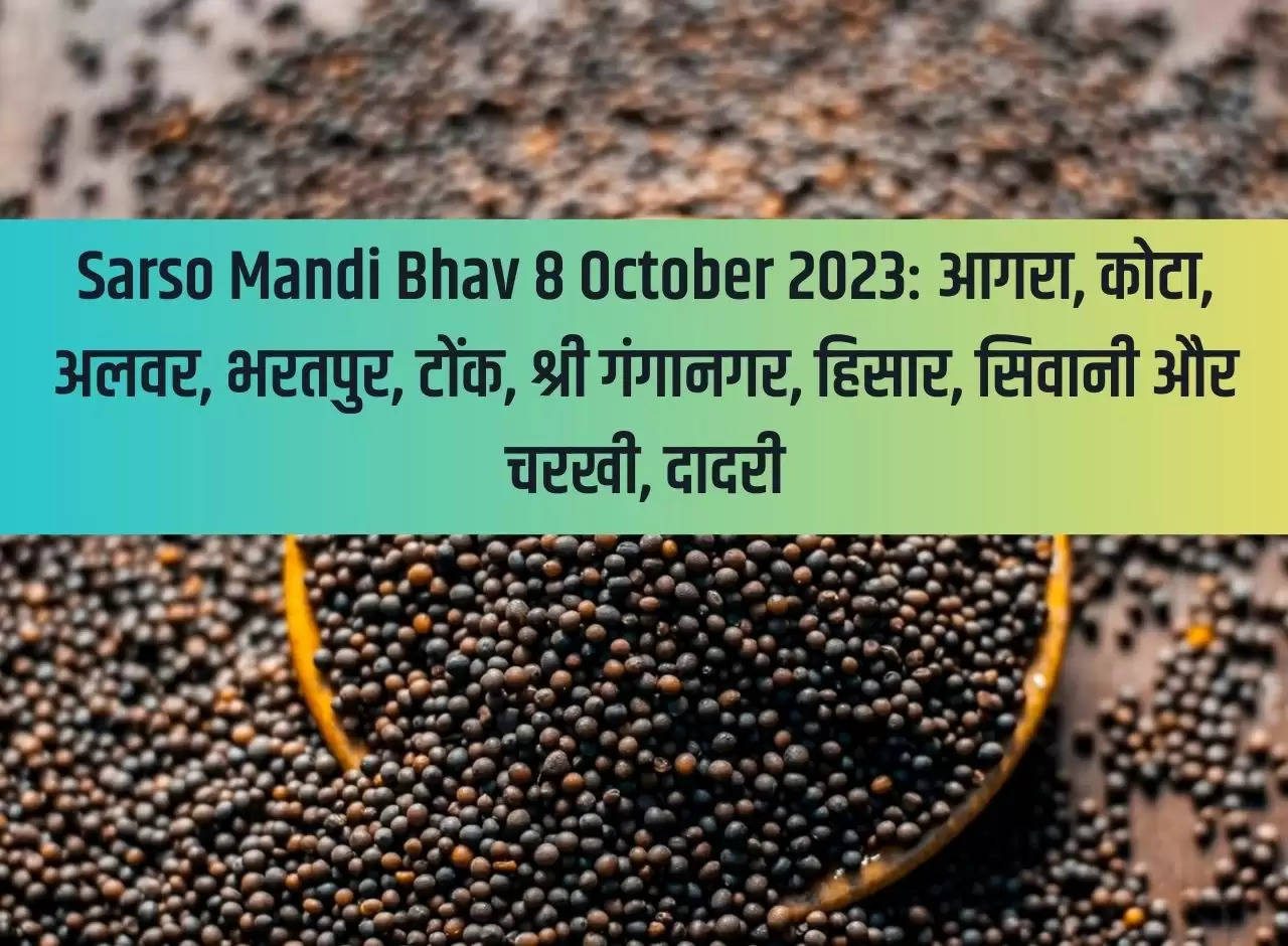 Sarso Mandi Bhav 8 October 2023: Agra, Kota, Alwar, Bharatpur, Tonk, Sri Ganganagar, Hisar, Siwani and Charkhi, Dadri