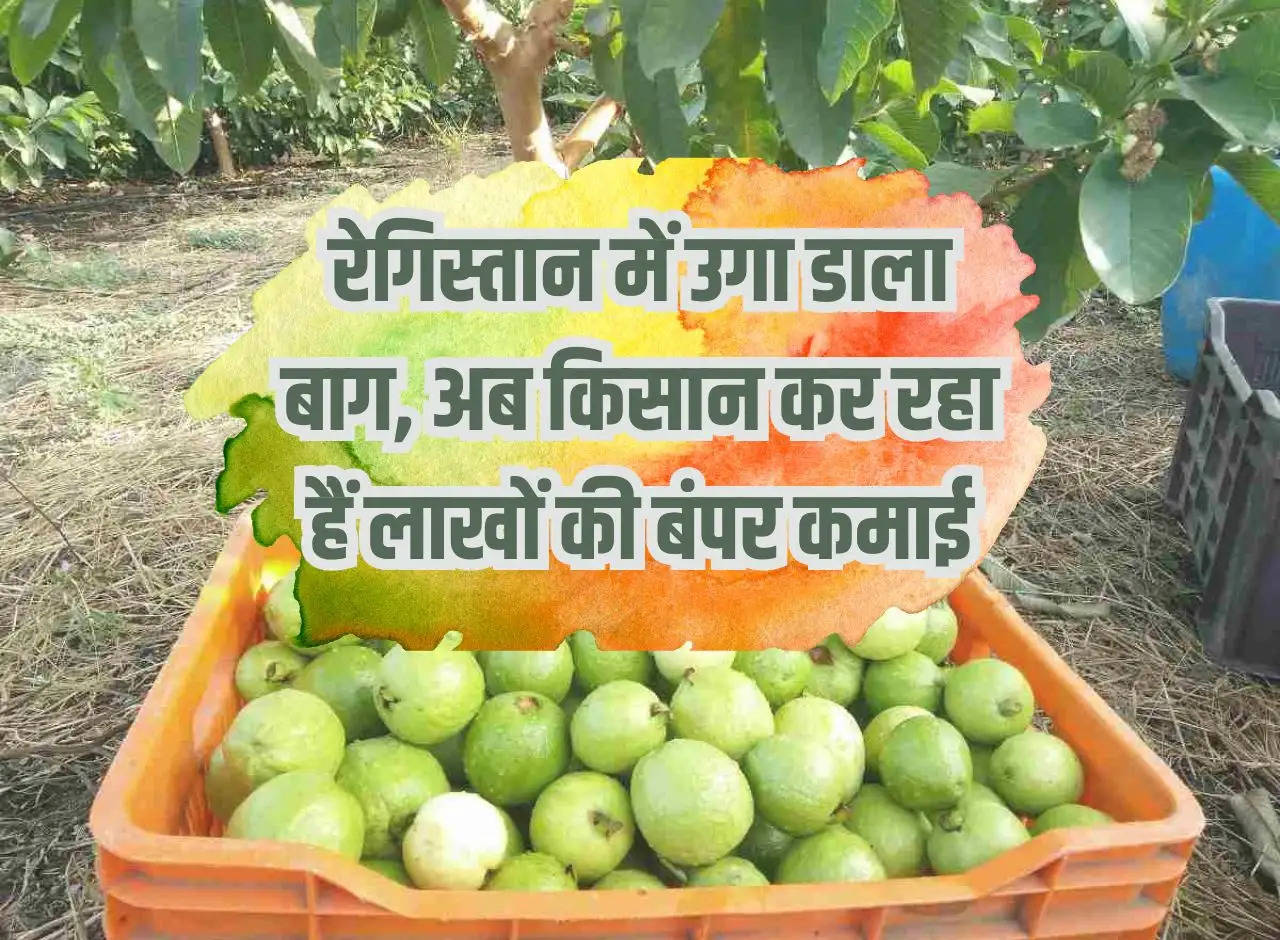 Grown a garden in the desert, now farmers are earning bumper income of lakhs