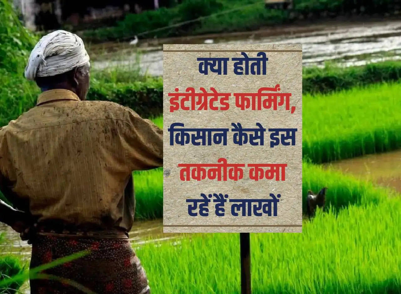 Farming System: What is integrated farming, how are farmers earning lakhs with this technology?