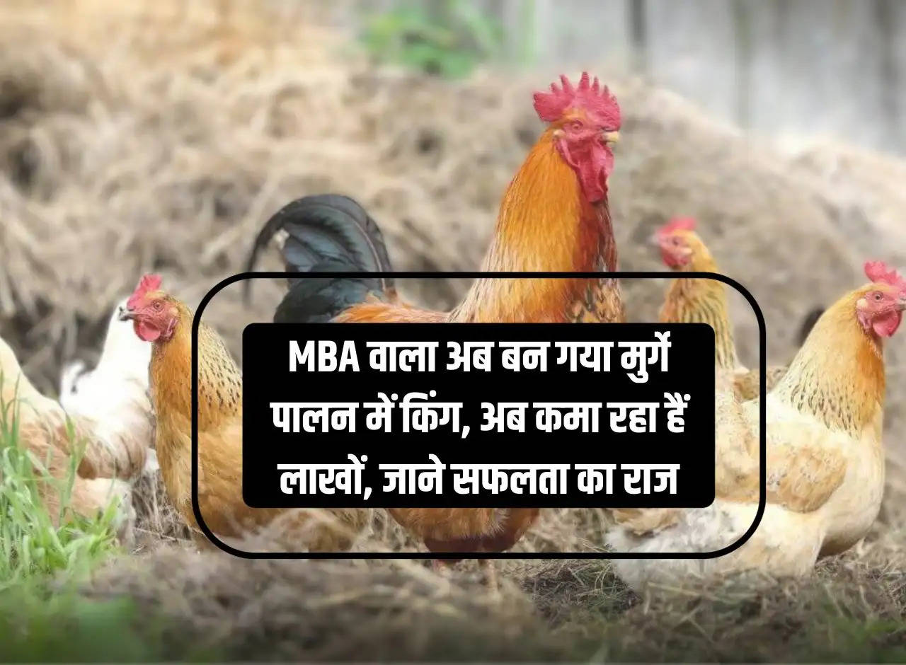 MBA man has now become the king in poultry farming, now he is earning lakhs, know the secret of success