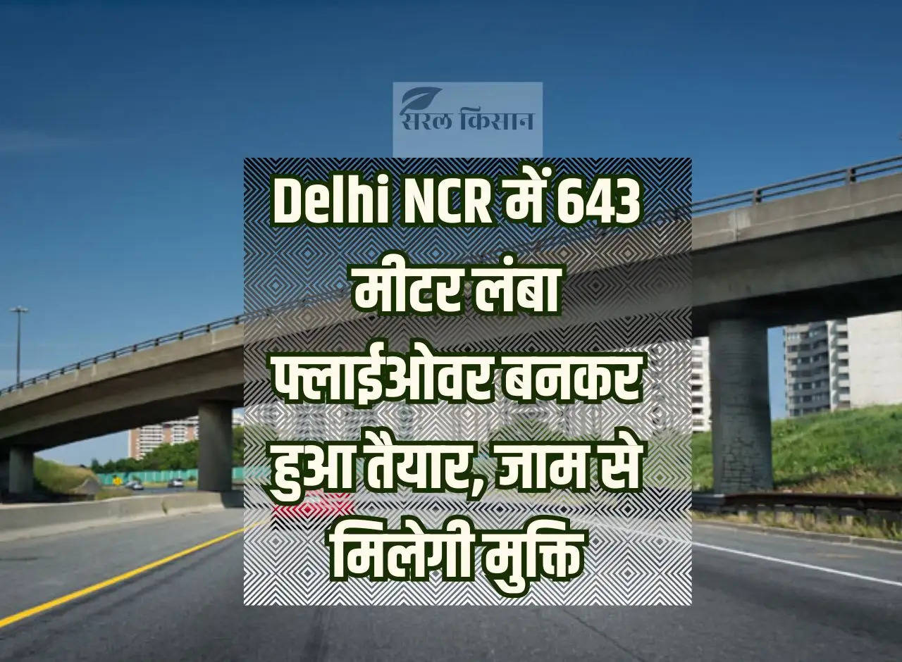 643 meter long flyover is ready in Delhi NCR, will provide relief from jam