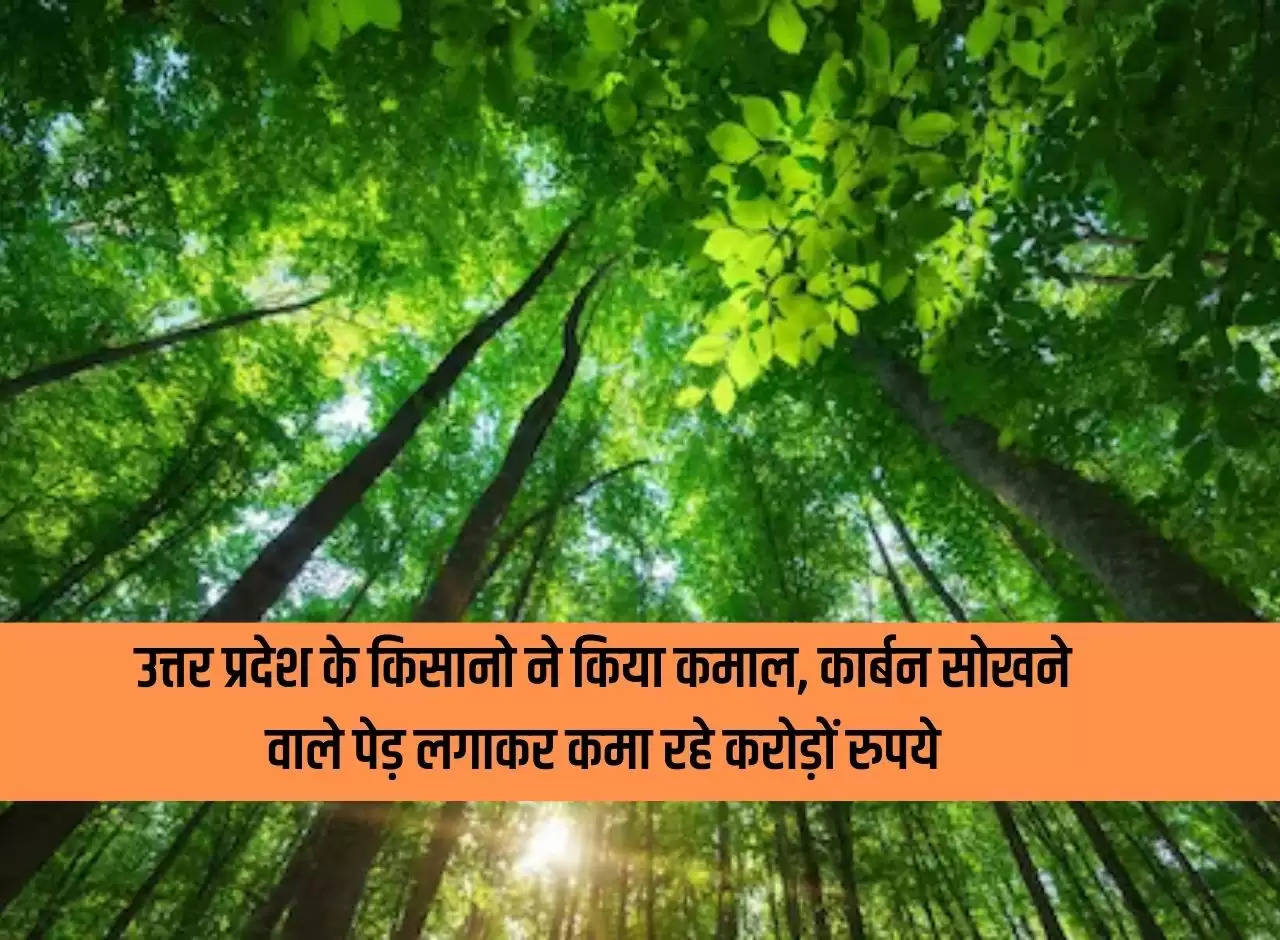 Farmers of Uttar Pradesh have done wonders, are earning crores of rupees by planting carbon absorbing trees.