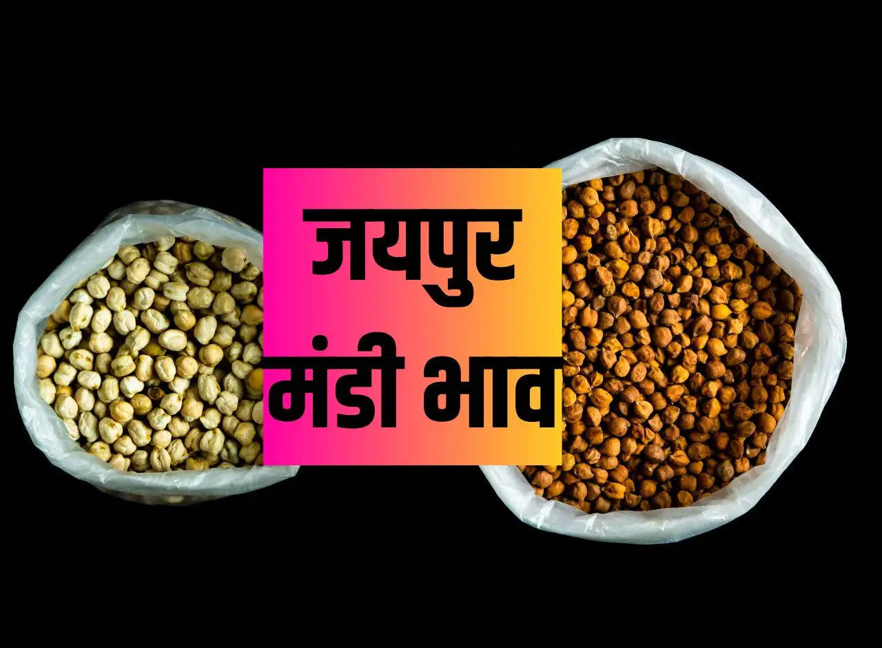 Jaipur Mandi Prices - Guar, Maize, Barley, Moth, Urad, Groundnut, Moth and Chana