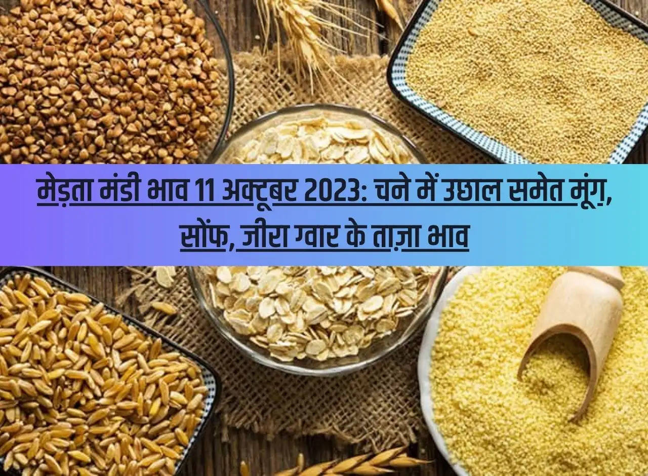 Merta Mandi Price 11 October 2023: Latest prices of moong, fennel, cumin and guar including rise in gram.