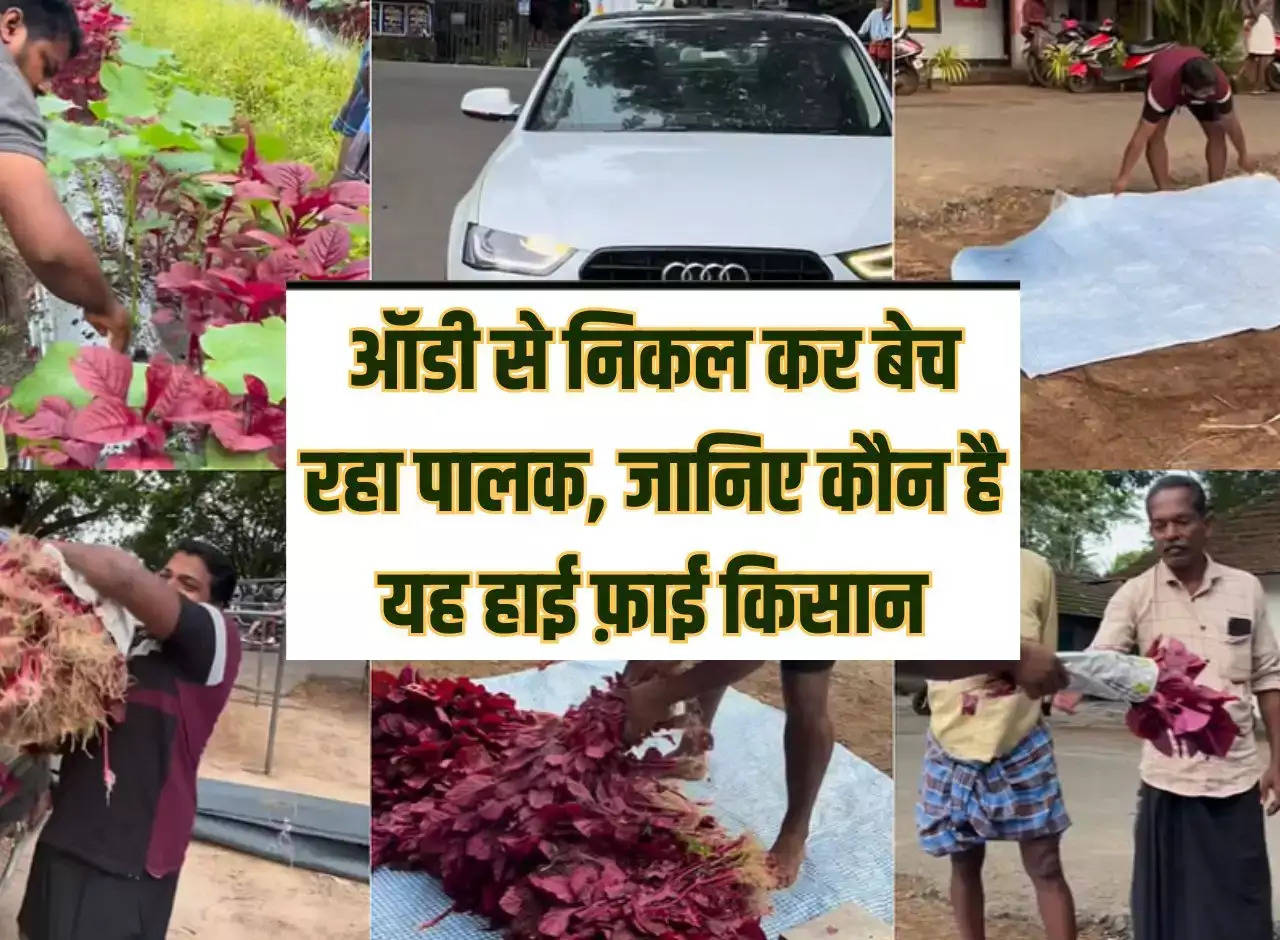 Selling spinach out of Audi, know who is this hi-fi farmer