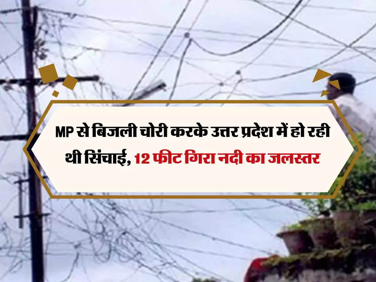 MP से बिजली चोरी करके उत्तर प्रदेश में हो रही थी सिंचाई, 12 फीट गिरा नदी का जलस्तर