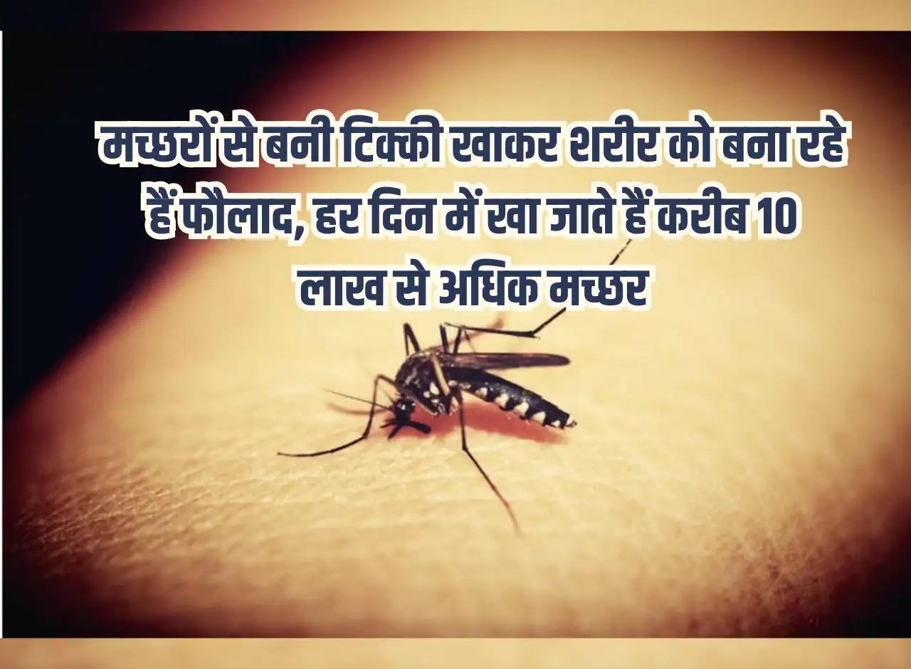 By eating tikkis made of mosquitoes, they are making their body strong, they eat more than 10 lakh mosquitoes every day.