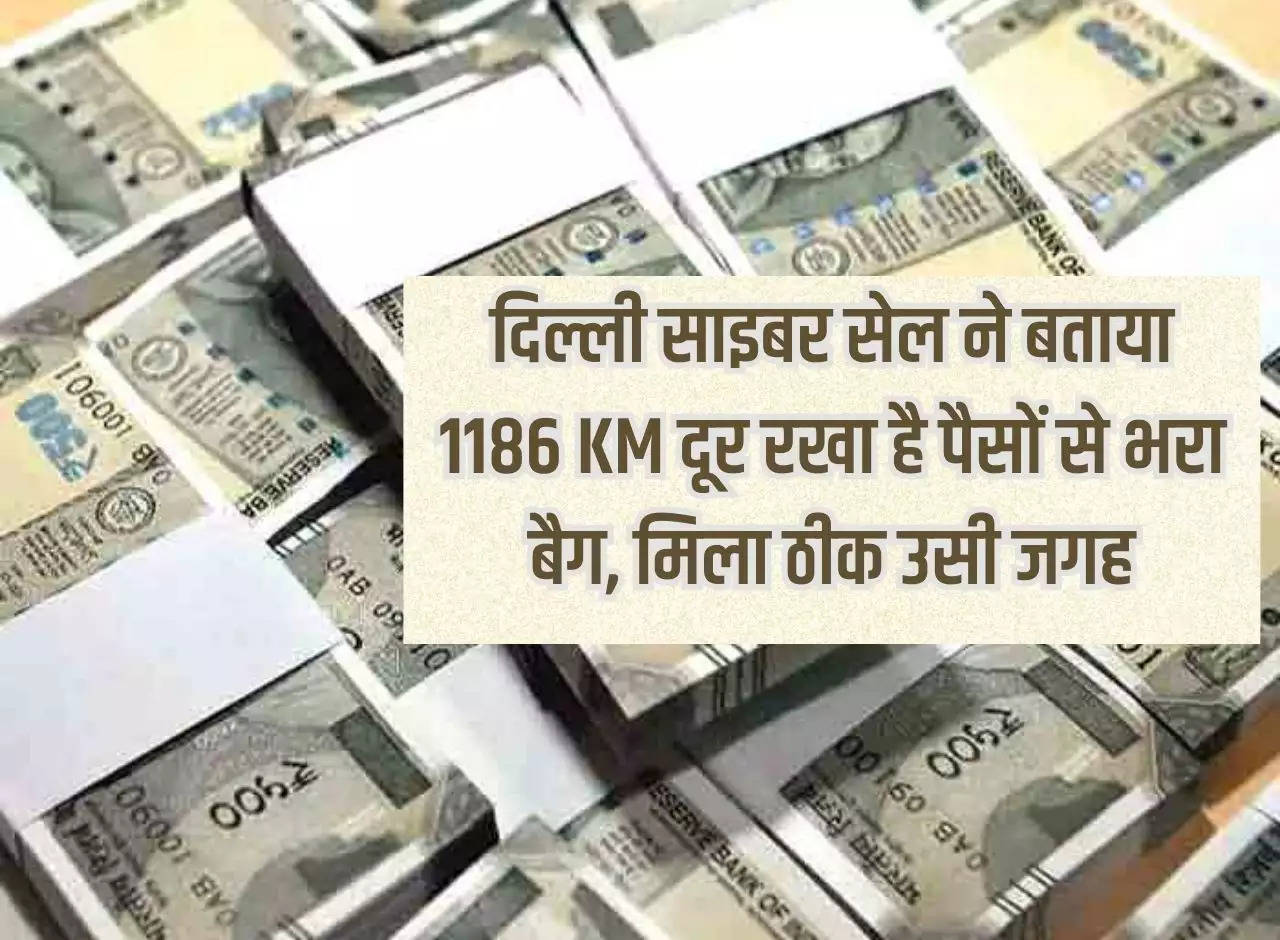 Delhi News: Delhi Cyber ​​Cell told that the bag full of money was kept 1186 KM away, found at the same place