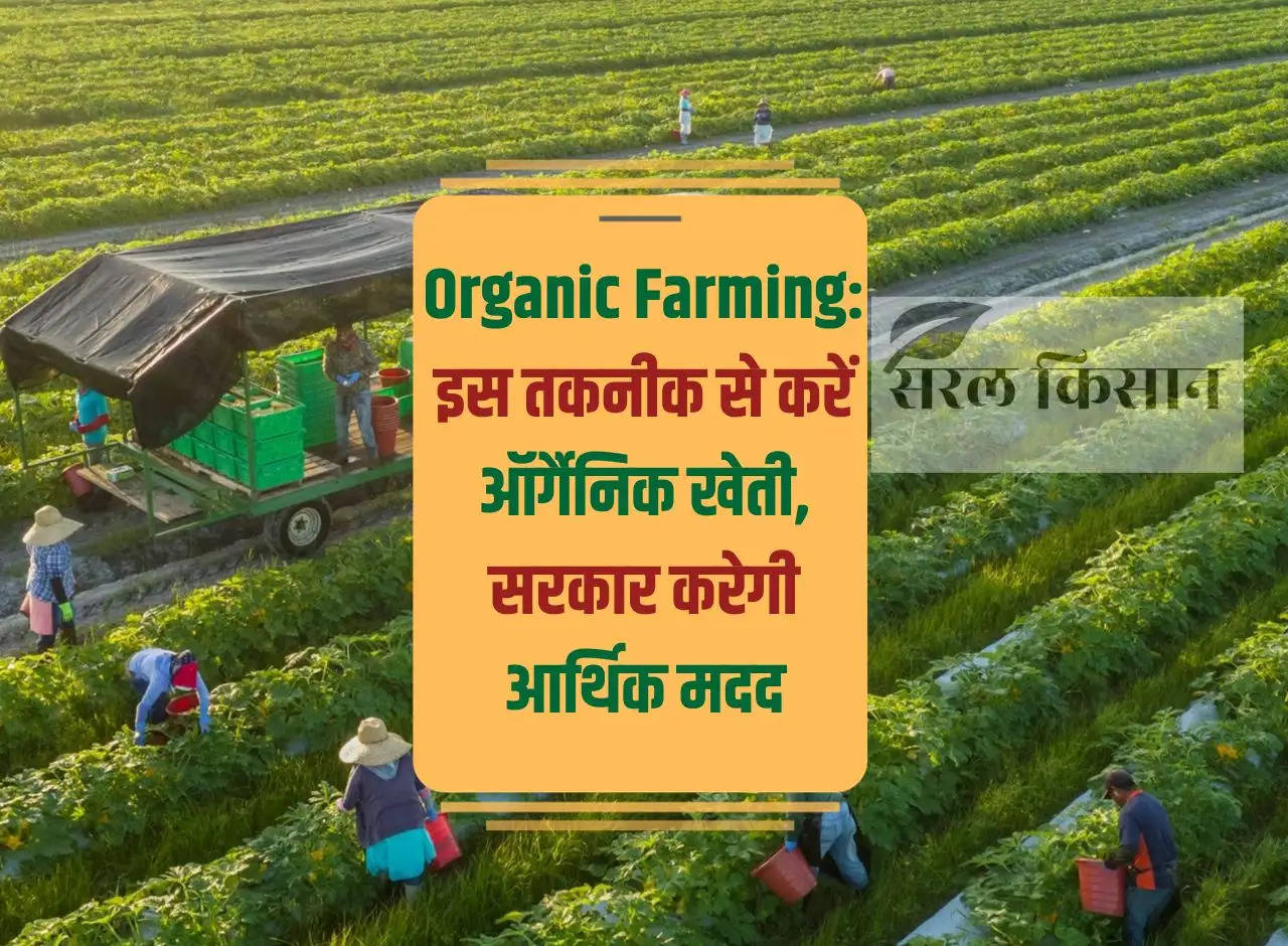 Organic Farming: Do organic farming with this technique, government will provide financial help