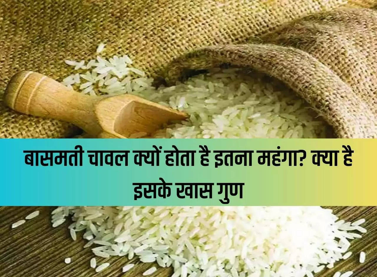 Why is Basmati rice so expensive? What are its special properties?