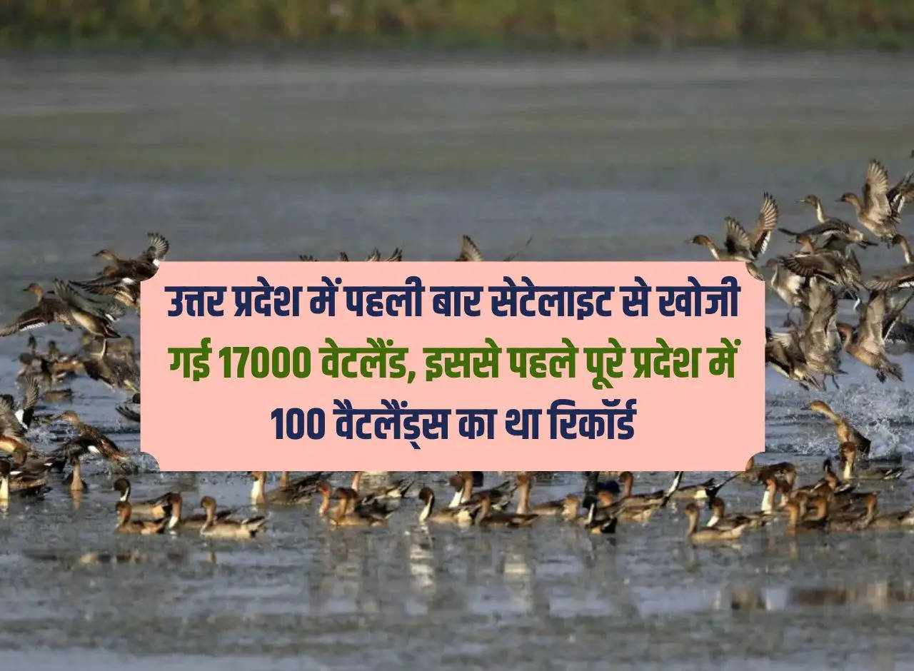 For the first time in Uttar Pradesh, 17000 wetlands were discovered through satellite, earlier there was a record of 100 wetlands in the entire state.