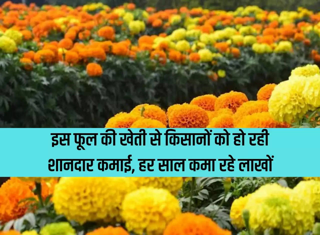 Farmers are earning huge income from the cultivation of this flower, earning lakhs every year