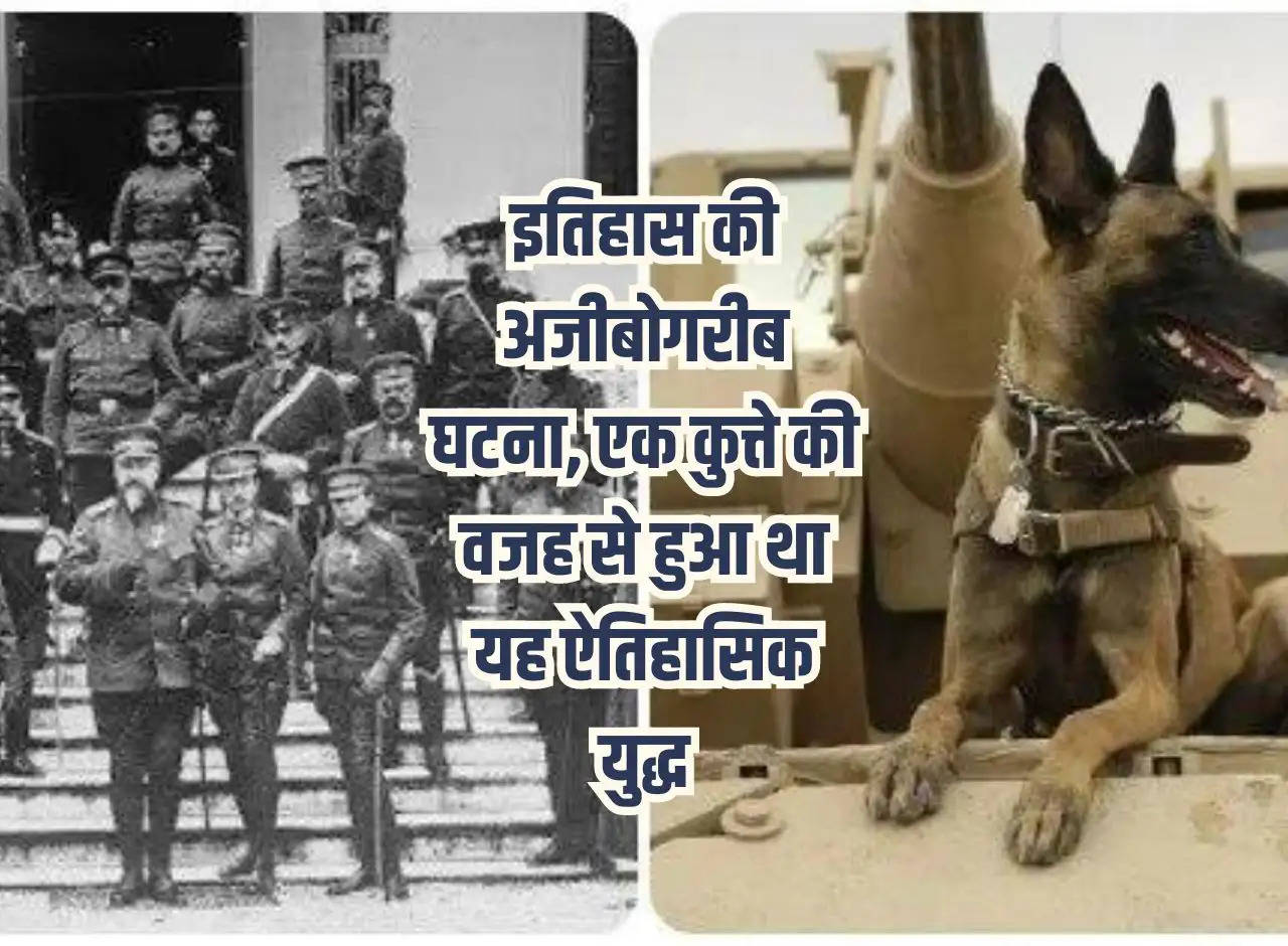 Strange incident in history, this historical war took place because of a dog.