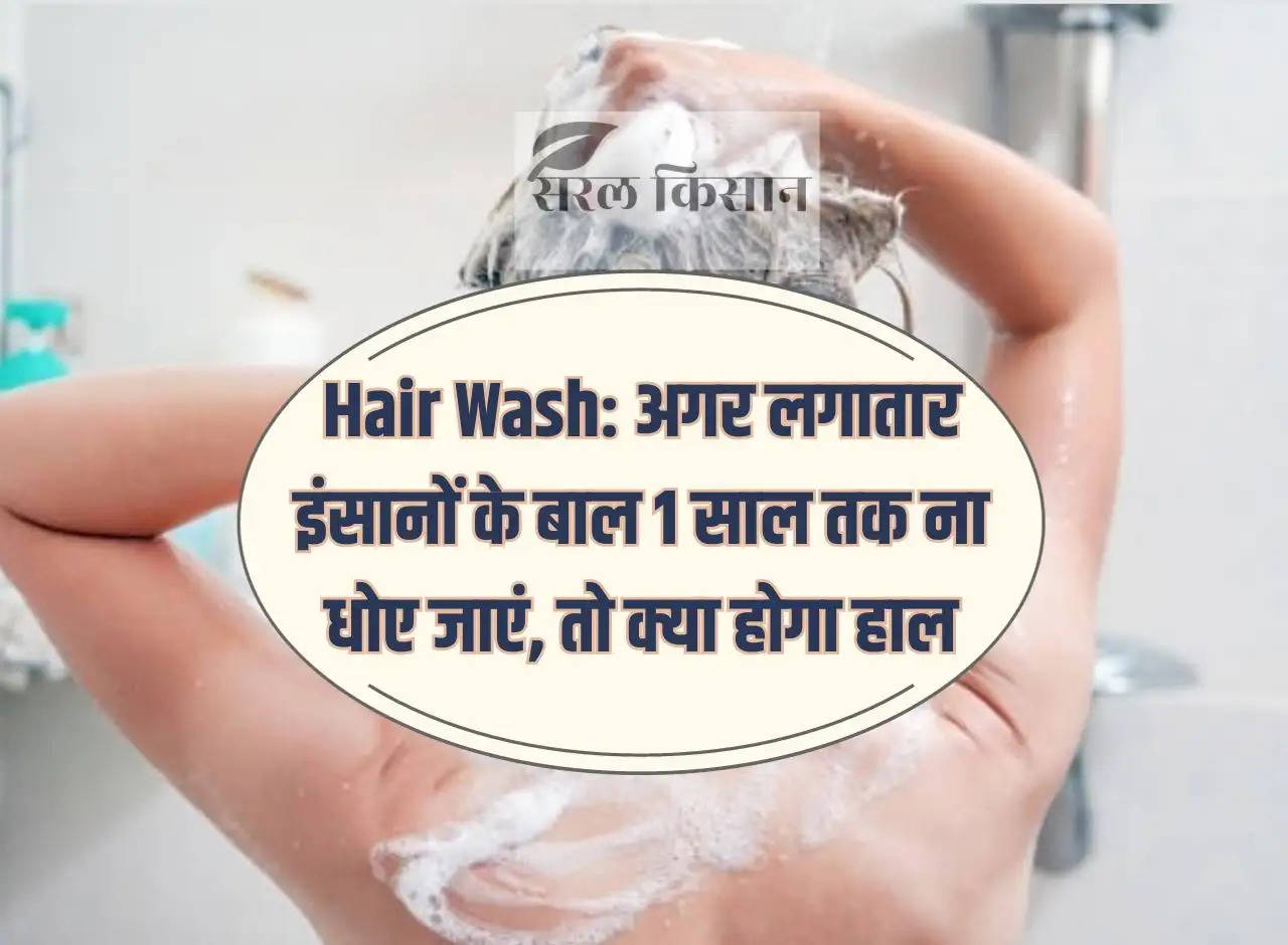 Hair Wash: What will happen if human hair is not washed continuously for 1 year?