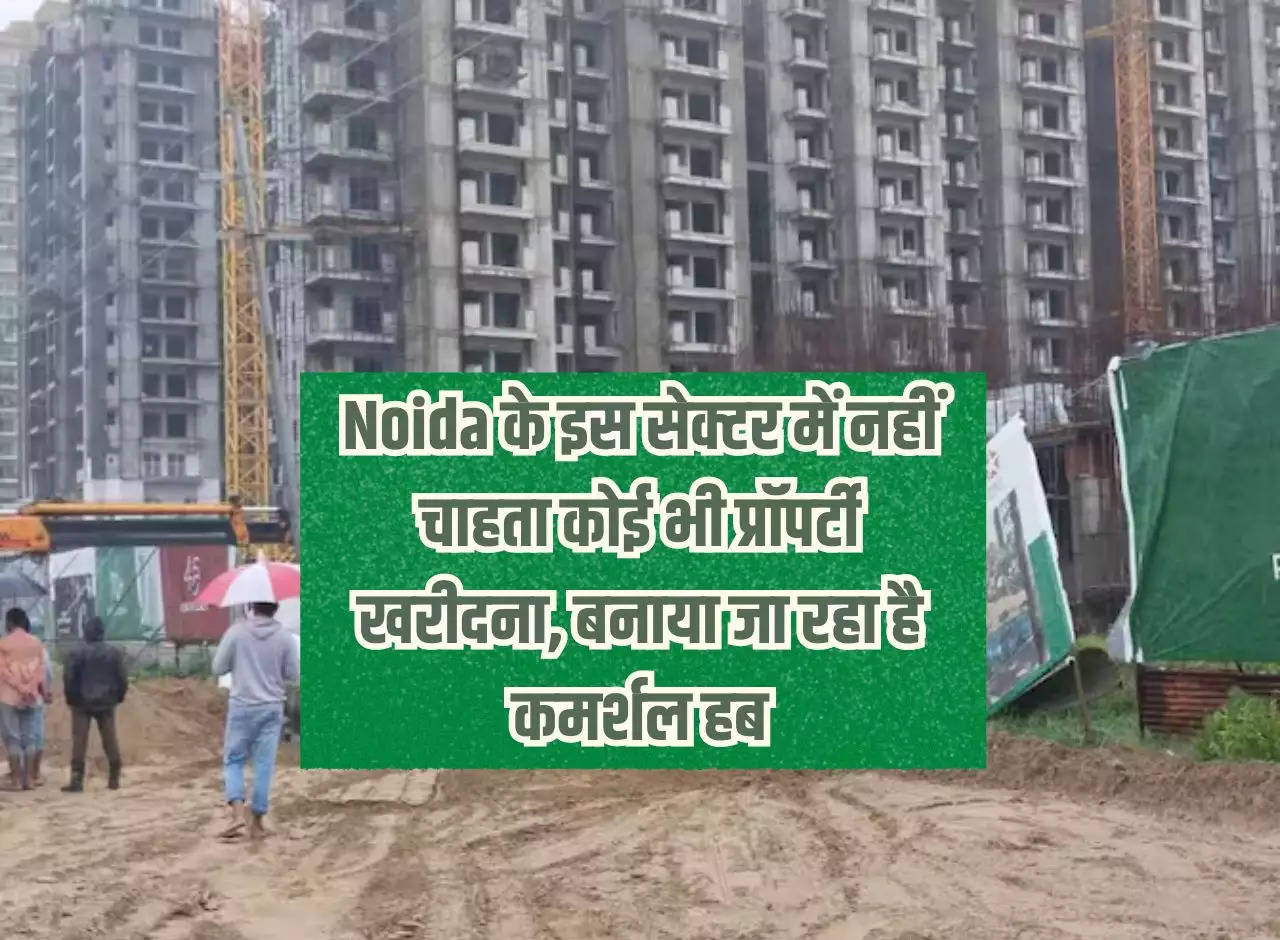 No one wants to buy property in this sector of Noida, commercial hub is being built