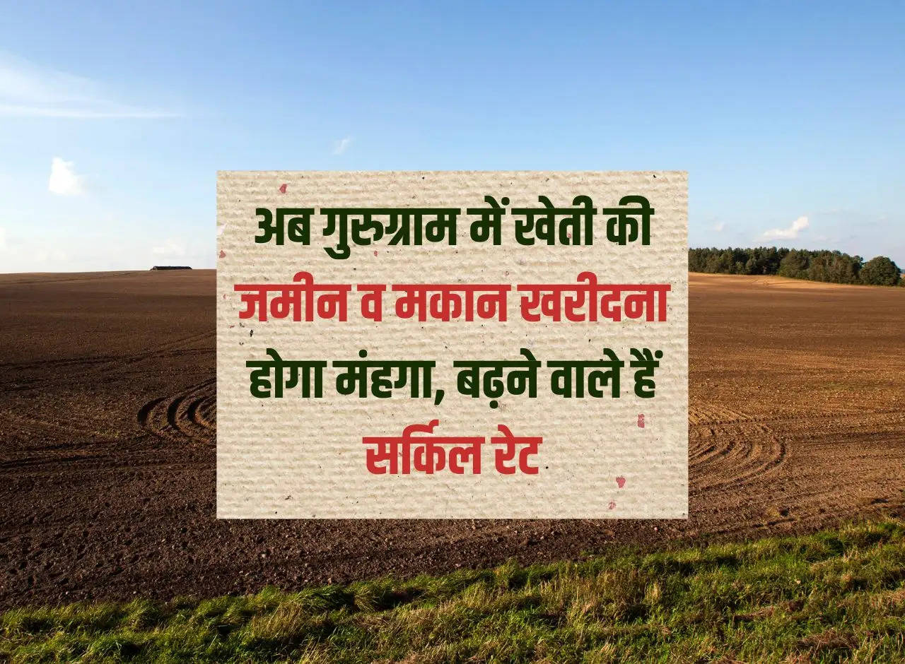 Delhi-NCR: Now buying agricultural land and house in Gurugram will be expensive, circle rates are going to increase.