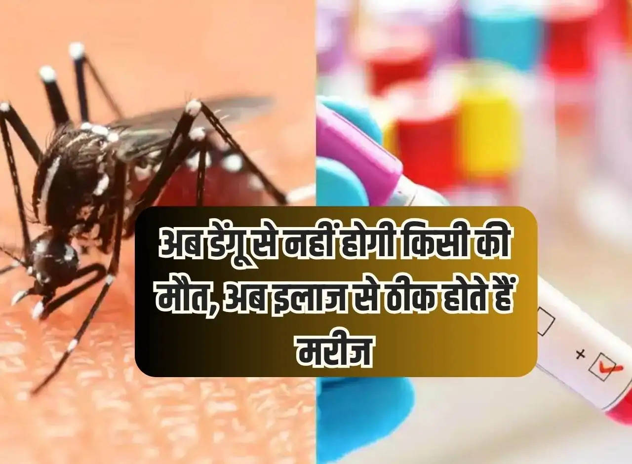 Now no one will die due to dengue, now patients get cured with treatment