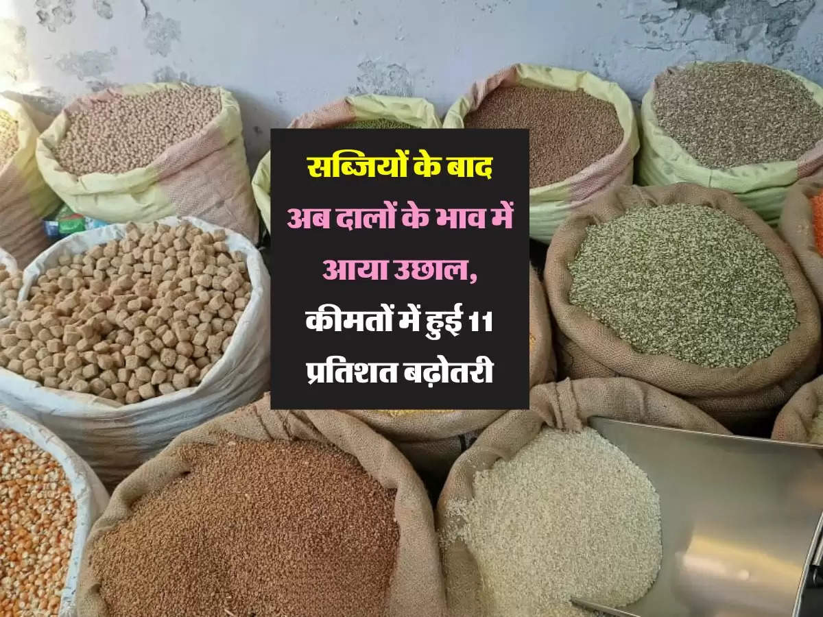 सब्जियों के बाद अब दालों के भाव में आया उछाल, कीमतों में हुई 11 प्रतिशत बढ़ोतरी